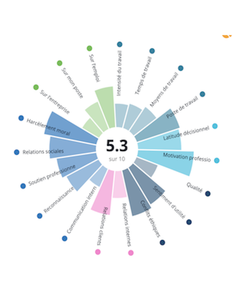 Logiciel spécifique à l'évaluation des RPS pour ETI et Grands Groupes (Lyon et Rhone-Alpes)